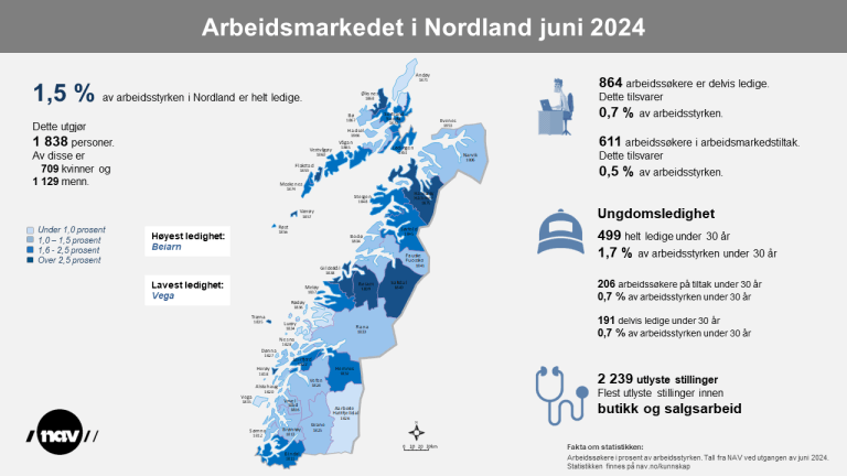 2. Infografikk 2024-06 Arbeidsmarkedet i Nordland (png)
